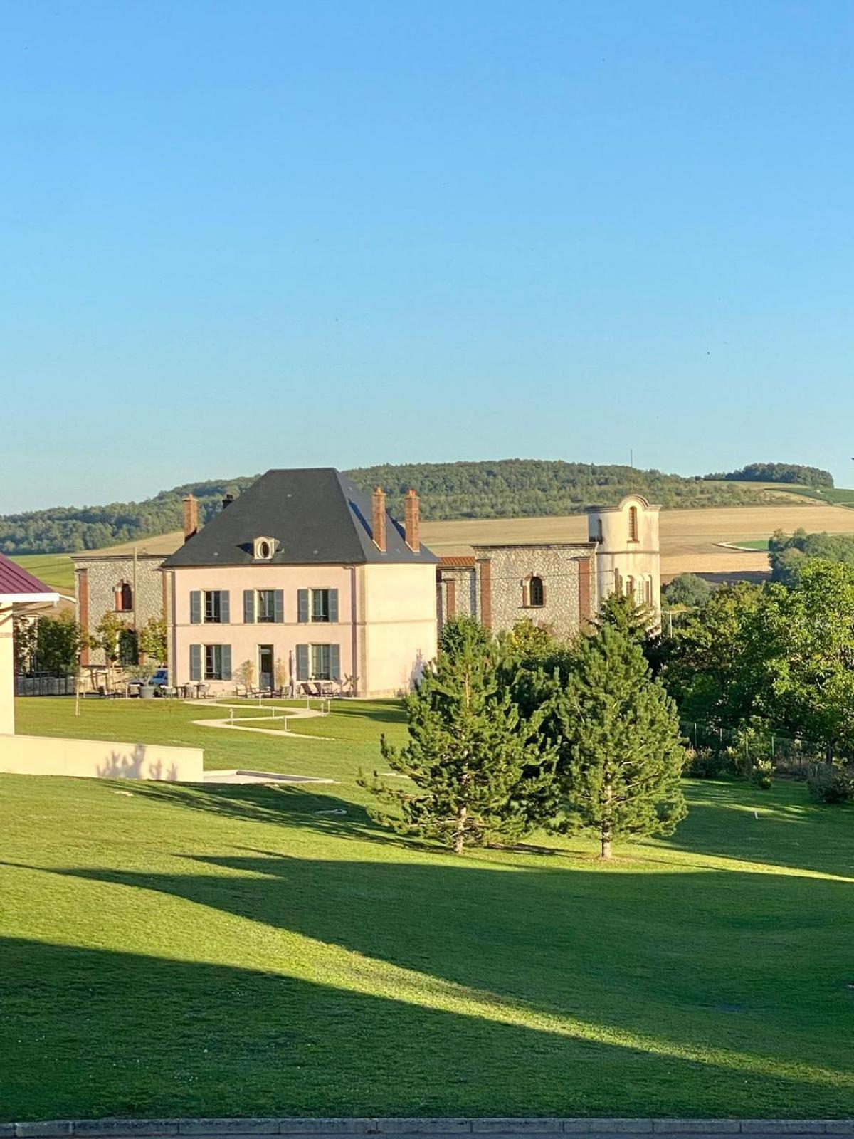 Villa Eulalie - Champagne Edouard Duval B&B Guest House Nestled In The Champagne Area ブリニー エクステリア 写真