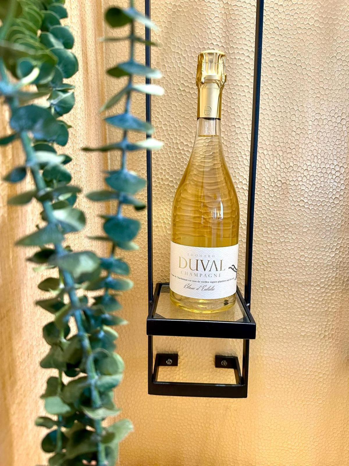 Villa Eulalie - Champagne Edouard Duval B&B Guest House Nestled In The Champagne Area ブリニー エクステリア 写真