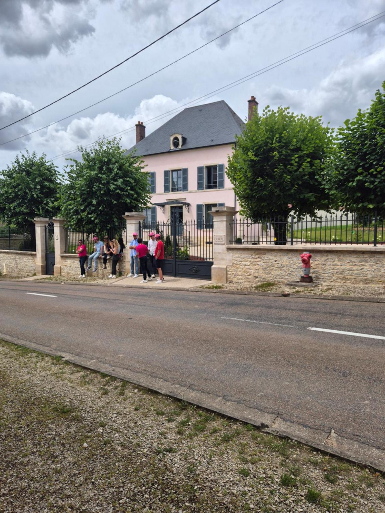 Villa Eulalie - Champagne Edouard Duval B&B Guest House Nestled In The Champagne Area ブリニー エクステリア 写真